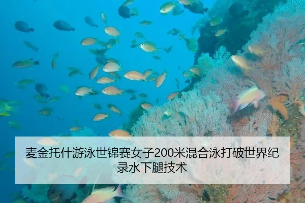 麦金托什游泳世锦赛女子200米混合泳打破世界纪录水下腿技术
