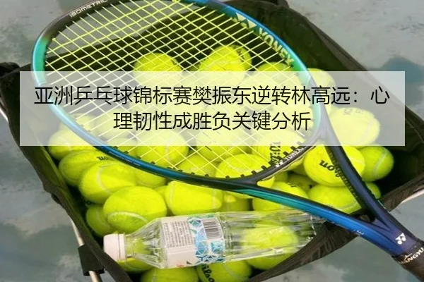 ya-zhou-ping-pang-qiu-jin-biao-sai-fan-zhen-dong-ni-zhuan-lin-gao-yuan-xin-li-ren-xing-cheng-sheng-fu-guan-jian-fen-xi-2-700.jpg